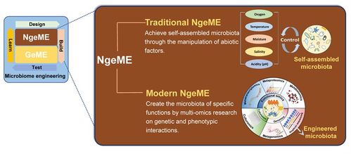 徐巖教授團隊在食品科學與安全領域取得突破性研究進展