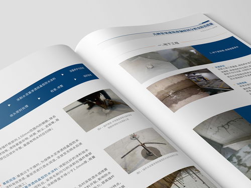 期刊畫冊(cè)設(shè)計(jì) 連接內(nèi)容與視覺的藝術(shù)橋梁