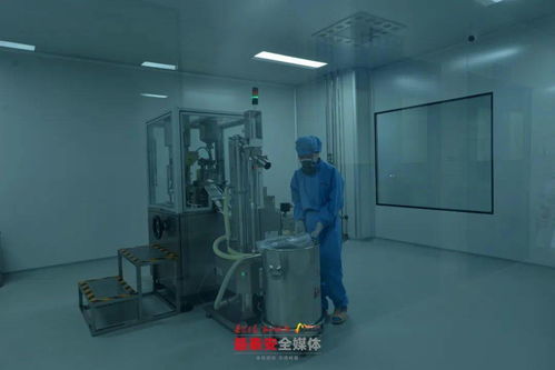 泰安各縣市區(qū) 功能區(qū)迎來重點項目建設 年中考 一