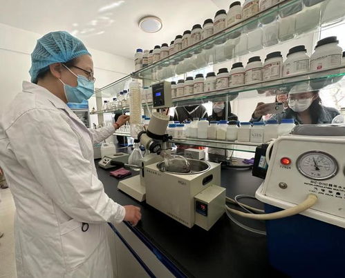 寧夏化妝品風靡俄羅斯市場，新型汽輪機研發與銷售齊頭并進