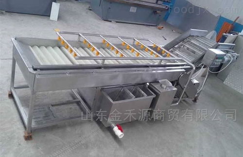 秋意正濃公司 引領(lǐng)產(chǎn)業(yè)革新，新型果蔬清洗風(fēng)干流水線(xiàn)與先進(jìn)汽輪機(jī)同步上市